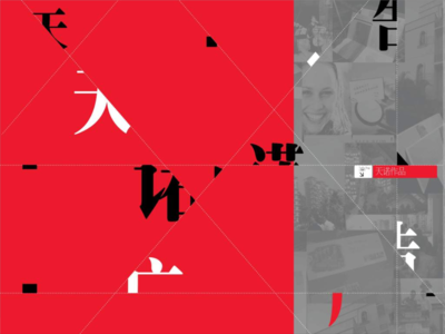 2011年阜陽(yáng)市潁上縣南苑置業(yè)營(yíng)銷總綱