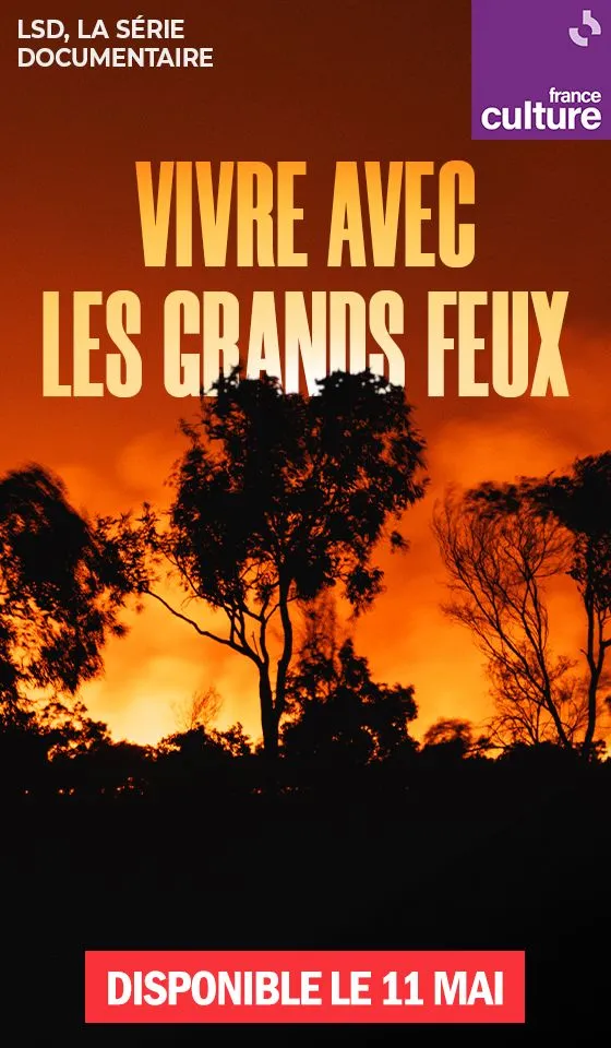 Vivre avec les grands feux, une série LSD France culture disponible le 11 mai
