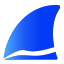 @wireshark