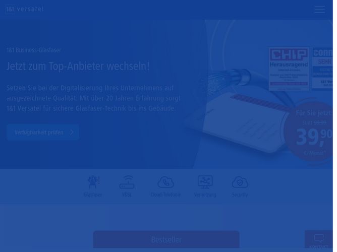 The website screenshot for https://www.1und1.net/