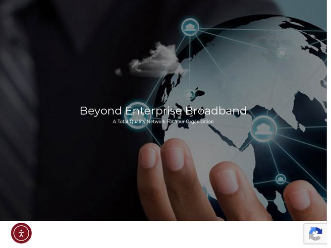 The website screenshot for https://www.cyber.net.pk